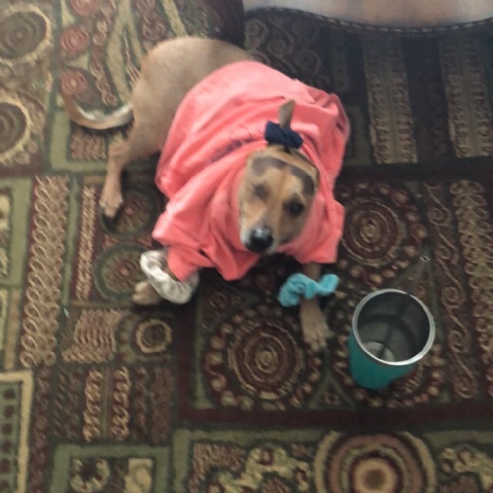 Meet your Posher, Claire